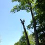 Photo of Dave Inc Tree