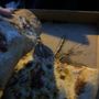 Photo of Socios Pizza-Pasta