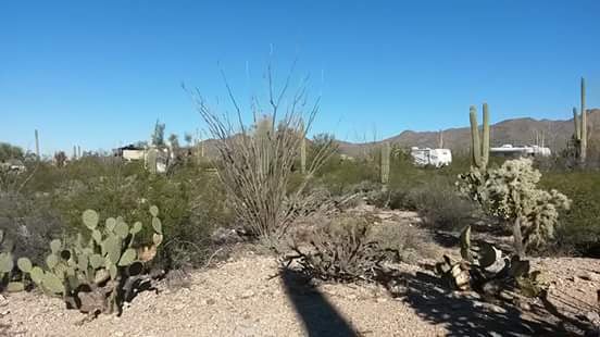 Gilbert Ray Campground by null