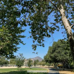 Paradise Park - Trail