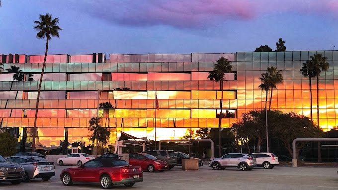 Larrabee Albi Coker - immigration attorney in San Diego, CA