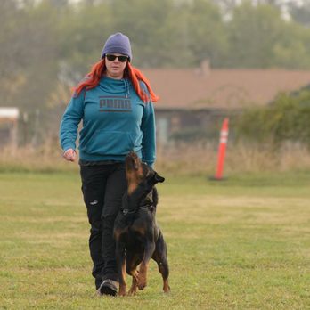 Mighty Dog Services - Competition Obedience - Pet Boarding Near Me - Portland, Tennessee Mighty Dog Services - Competition Obedience - Pet Boarding Near Me - Portland, Tennessee