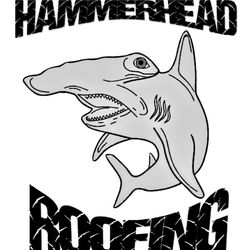 Hammerhead Roofing Of South Florida