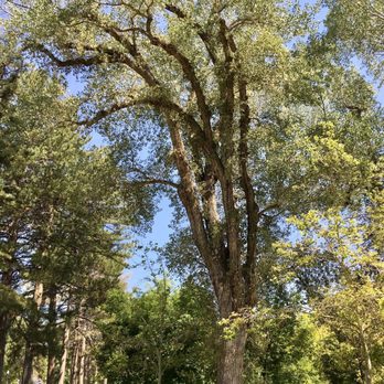 Liberty Park - Beautiful Trees - Zoos Near Me - Salt Lake City, Utah Liberty Park - Beautiful Trees - Zoos Near Me - Salt Lake City, Utah