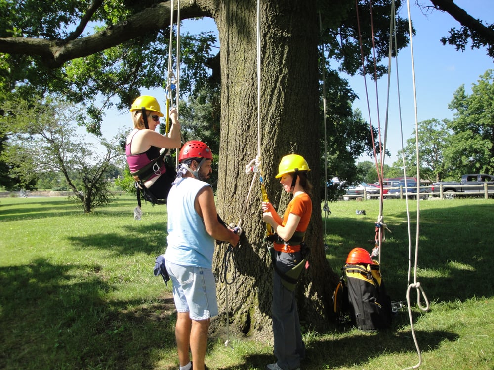 TREE CLIMBING KANSAS CITY Updated September 2024 Kansas City