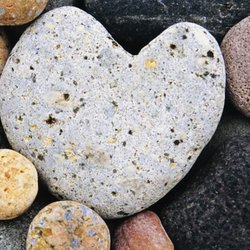 Drift Oceanside Inn - We found this perfect heart-shaped rock at Drift's beach: Smoothed by North Atlantic surf.