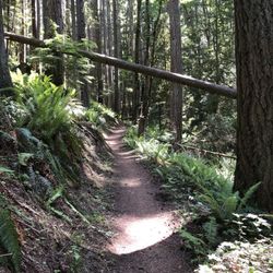 Lookout Mountain Forest Preserve