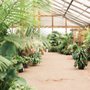 Photo of Whitfill Nursery