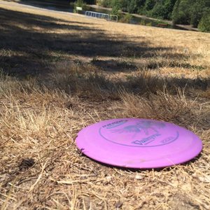 Me-Kwa-Mooks Park - 25 Photos - Parks - 4503 Beach Dr SW ...