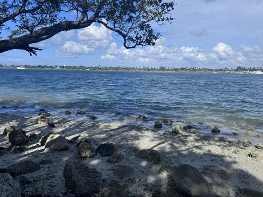Oleta River State Park by null