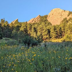 First Flatiron - Instagram: @telephonesmoothie