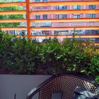 Cafe-Flor - Outdoor seating - Coffee & Tea Near Me - New York, New York