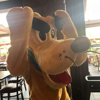Makahiki - Pluto being silly - Bars Near Me - Kapolei, Hawaii