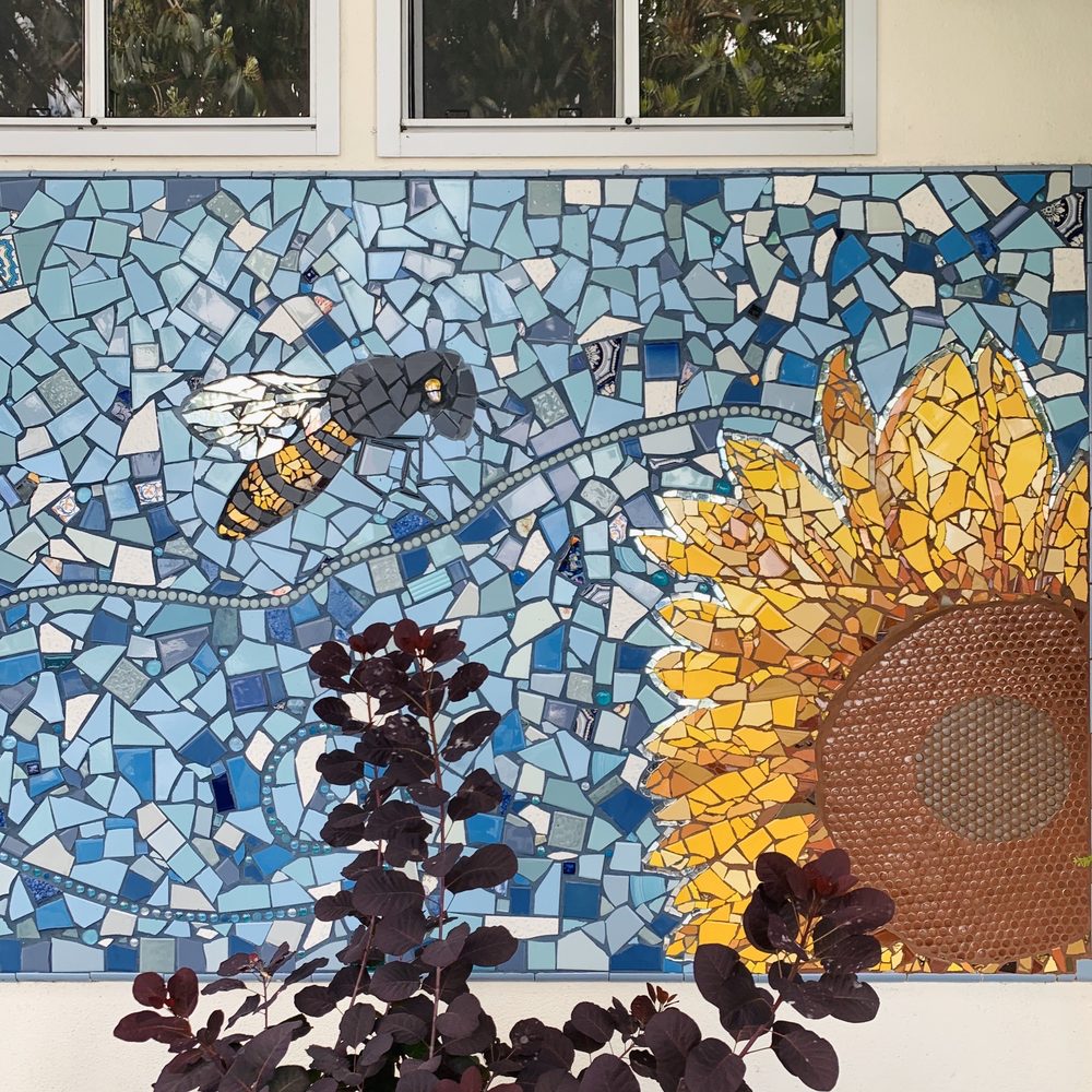 SF Tikes Academy - childcare center in San Francisco, CA