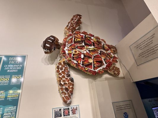 Sea Turtle, Inc. by null