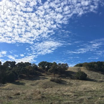 Pleasanton Ridge Regional Park - Parks Near Me - Pleasanton, California