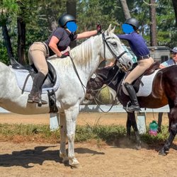 Metta Horse Training