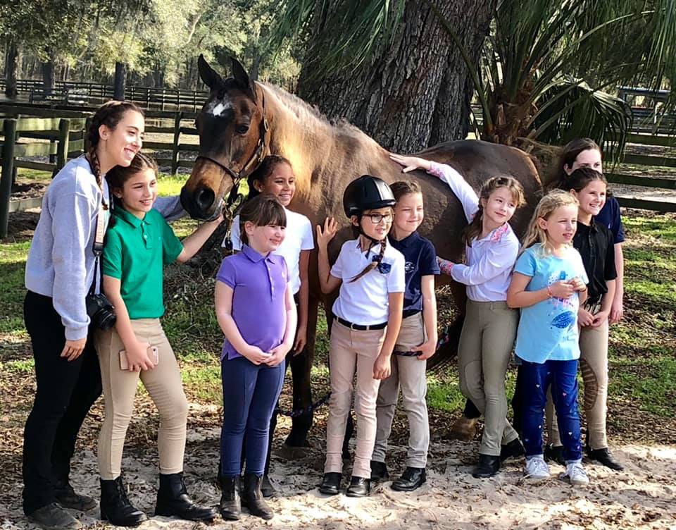 Ocala Equestrian Academy - equestrian in Ocala, FL
