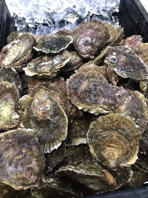 D&K Live Seafood by null