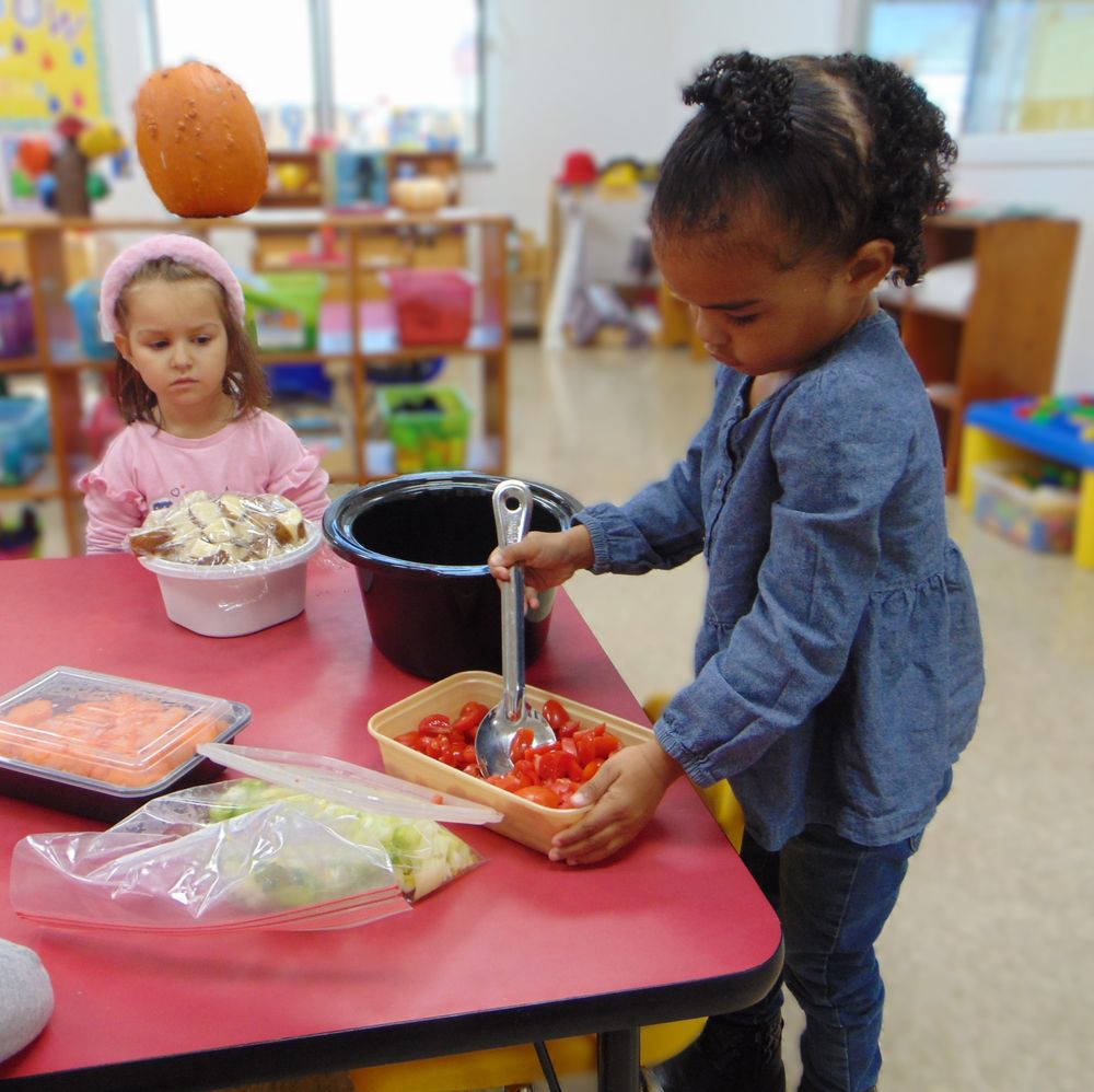 Lobo Active Learning Center & Gymnastics - childcare center in Houston, TX