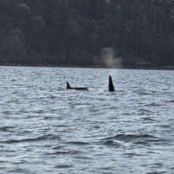 Outer Island Expeditions - Fishing Near Me - Anacortes, Washington