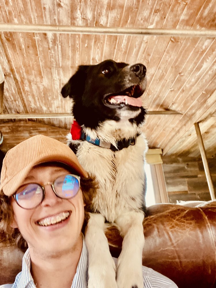 MALDEN DOG & PET SITTING Updated June 2024 57 Photos NORTHRIDGE