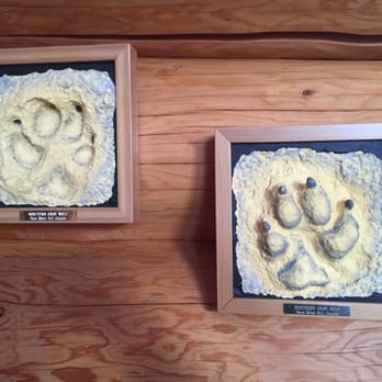 Caribou Grill - Wolf prints - American Near Me - Valemount, British Columbia Caribou Grill - Wolf prints - American Near Me - Valemount, British Columbia