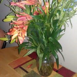 The Rabbi - Buying drinks is trashy, buying flowers is classy