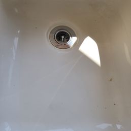 Bugs in sink Bugs in sink