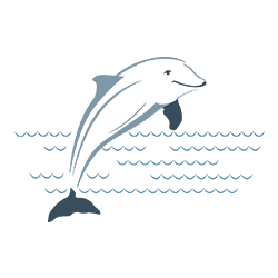 Dolphin Plumbing Logo