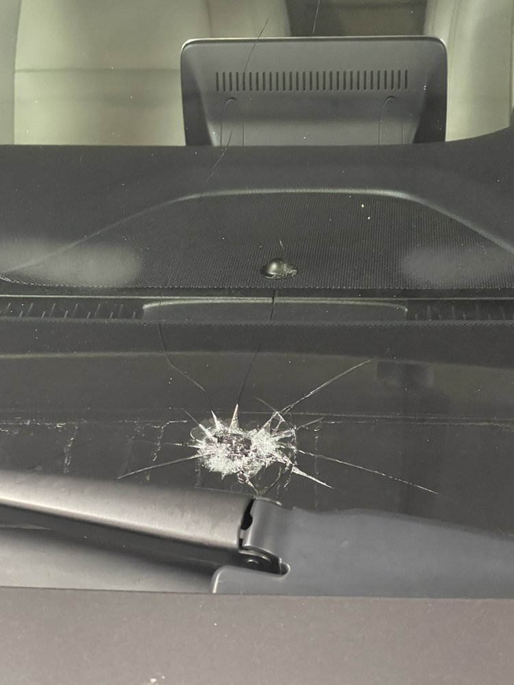 JUNIOR PIPPIN TRUCKING CO Updated September 2024 213 Camden