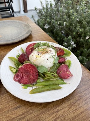 Local Kitchen & Wine Bar by null