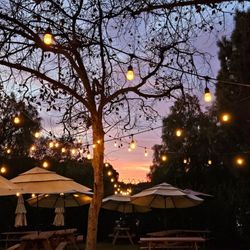 Cisco's - Beautiful outside dining