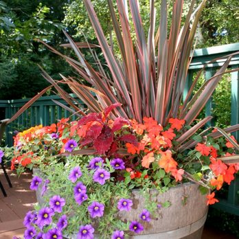 Master Garden Products - Nurseries & Gardening Near Me - Algona, Washington Master Garden Products - Nurseries & Gardening Near Me - Algona, Washington