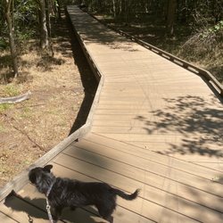 Happy Valley Park - Boardwalk over a wetland area, kinda maze-like