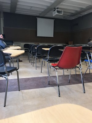 Wayne State University by null