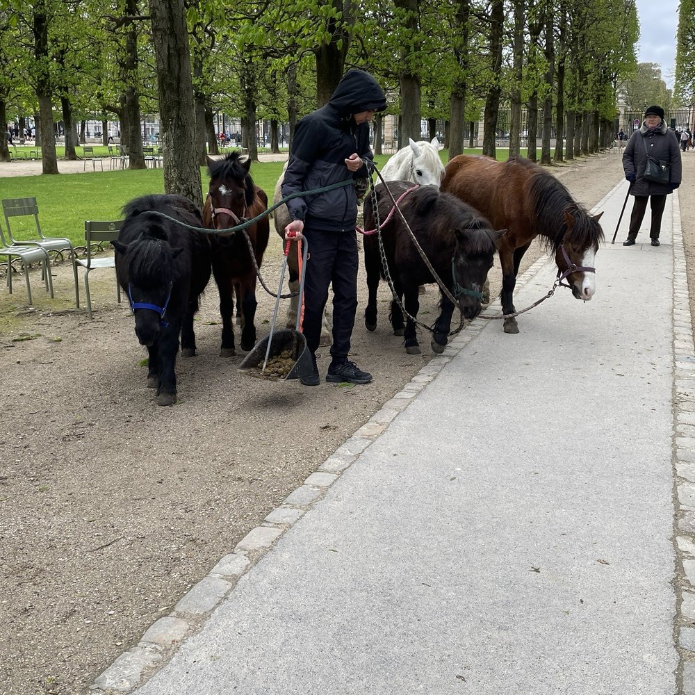 Jardin du Luxembourg - Parks Near Me - Paris, 75 Jardin du Luxembourg - Parks Near Me - Paris, 75