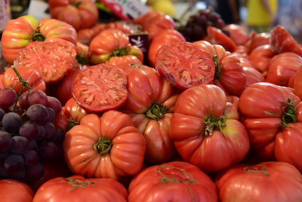 Mercado Central de Abastos de Cádiz by null