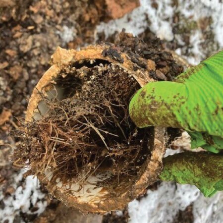 Slide of Roto-Rooter Plumbing & Drain Service