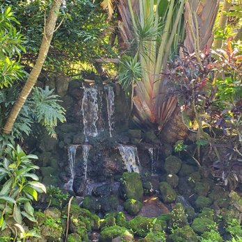Sunken Gardens - Nurseries & Gardening Near Me - Saint Petersburg, Florida Sunken Gardens - Nurseries & Gardening Near Me - Saint Petersburg, Florida