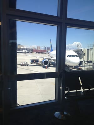 Spirit Airlines by null