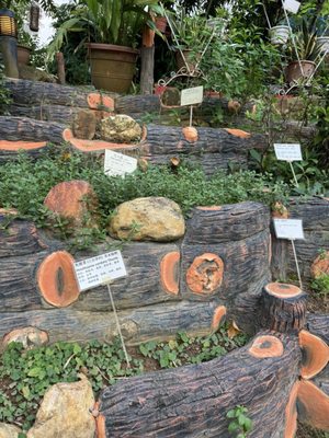 Thean Hou Temple by null