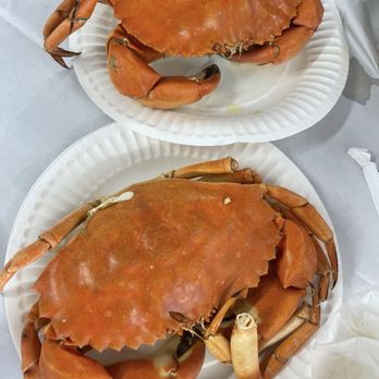 Quality Seafood - Fresh (Live) Santa Barbara Crab - Male - Seafood Markets Near Me - Redondo Beach, California Quality Seafood - Fresh (Live) Santa Barbara Crab - Male - Seafood Markets Near Me - Redondo Beach, California