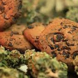 Huntington Beach Wellness - Edibles on point