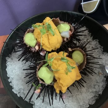 Holbox - Fresh uni & Scallop Ceviche - Latin American Near Me - Los Angeles, California