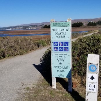 Bird Walk Coastal Access Trail - From Doran Beach heading back to the parking lot at Hwy 1 - Parks Near Me - Bodega Bay, California Bird Walk Coastal Access Trail - From Doran Beach heading back to the parking lot at Hwy 1 - Parks Near Me - Bodega Bay, California