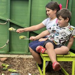 The Learning Zoo - Feeding the birds