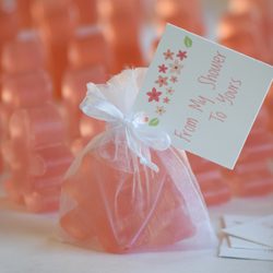 Hollister Soap House - Custom baby shower favors