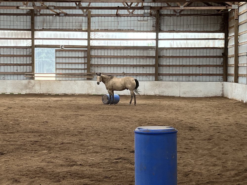 Amythyst Preformance Horses - equestrian in Oregon City, OR