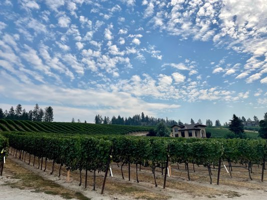 Ex Nihilo Vineyards & Tasting Room by null